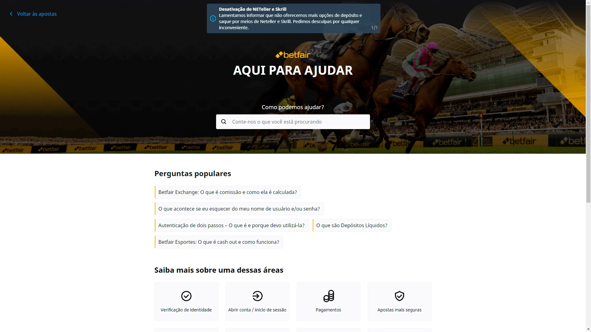 Print mostra página de Perguntas e Respostas da Betfair