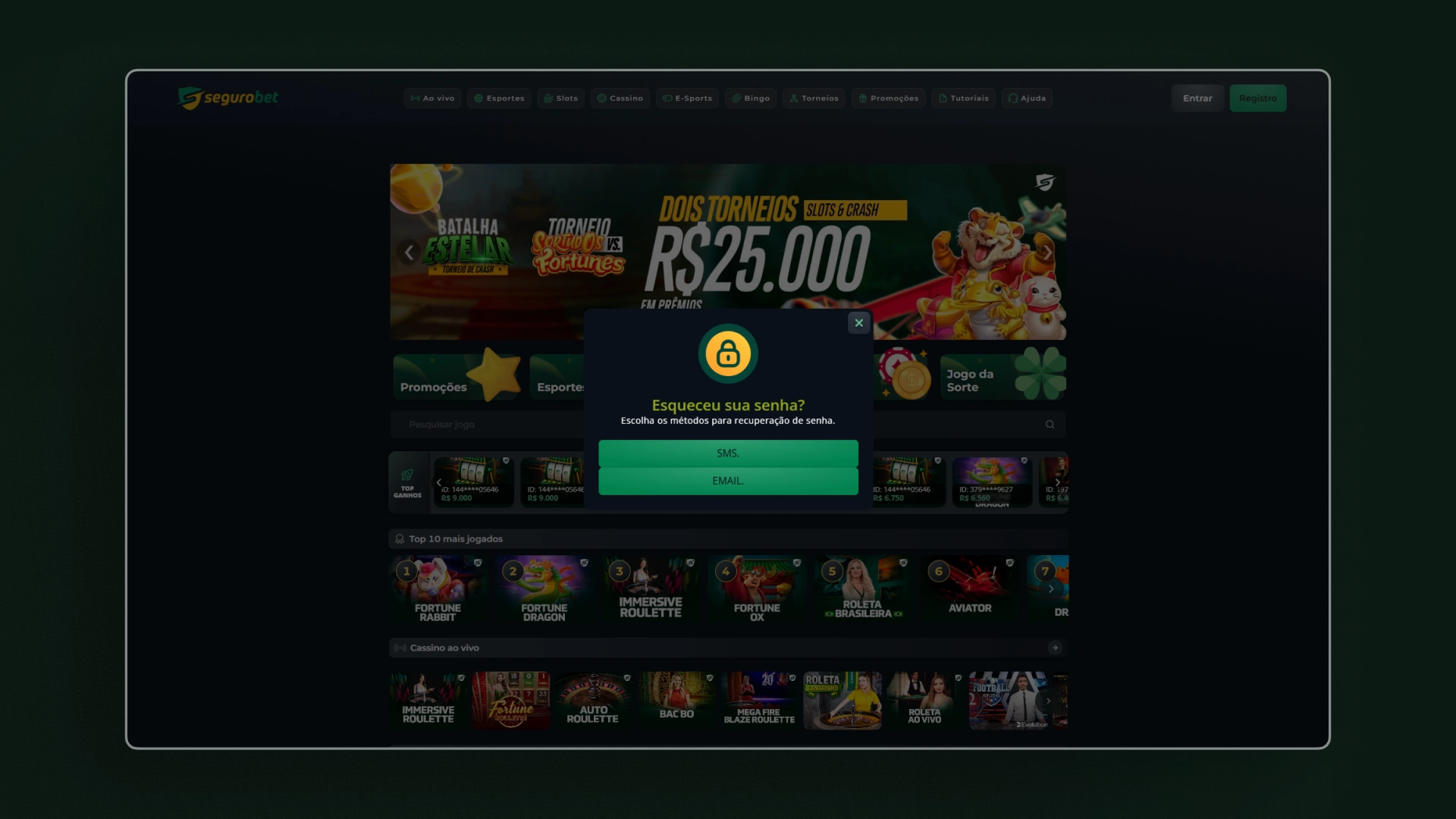 imagem Como recuperar minha conta segurobet