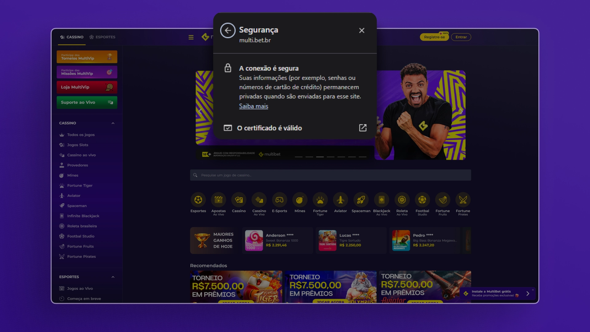 imagem Site Seguro Multibet