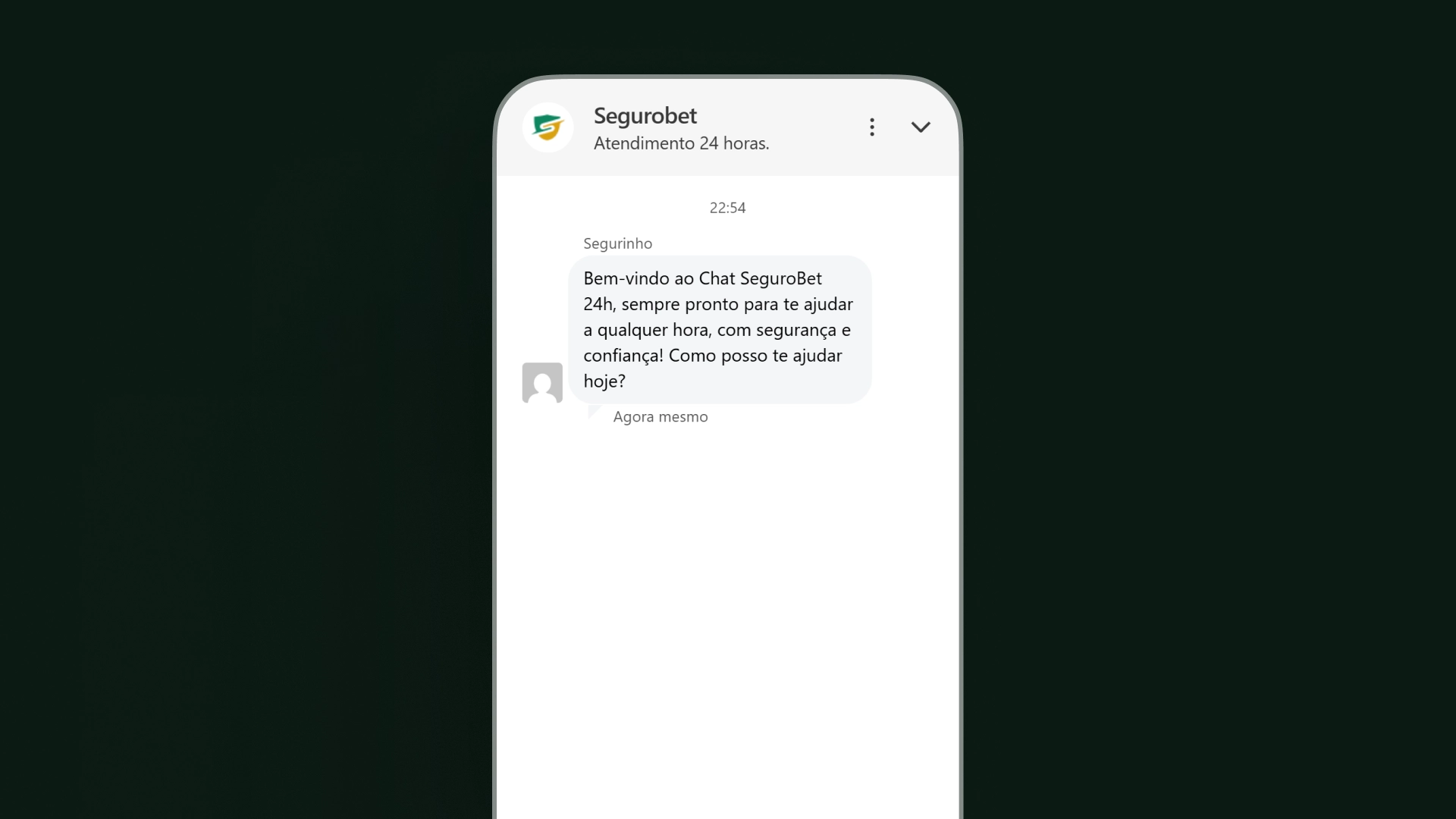 imagem ilustrativa chat segurobet