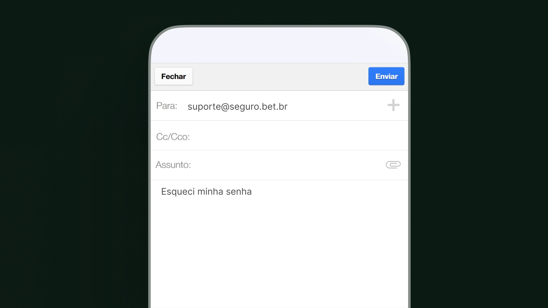 imagem ilustrativa e mail segurobet