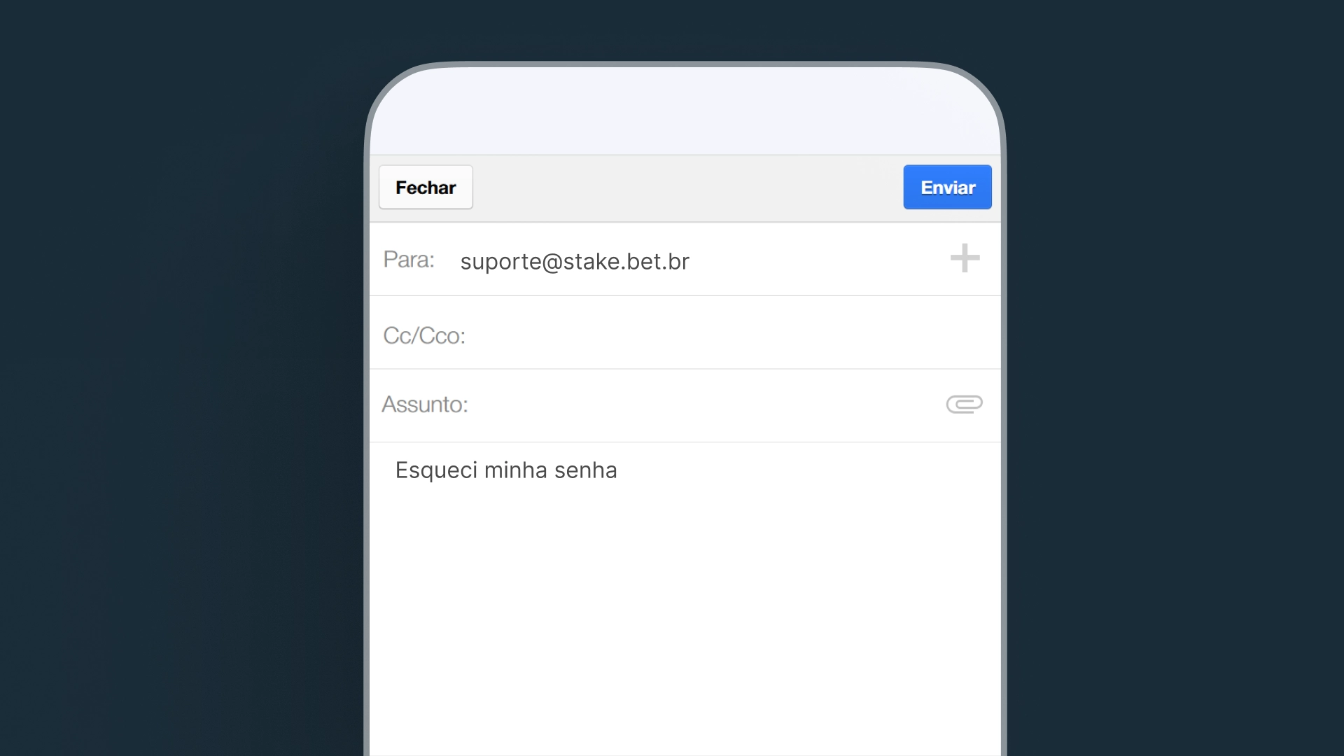 imagem ilustrativa e mail stake