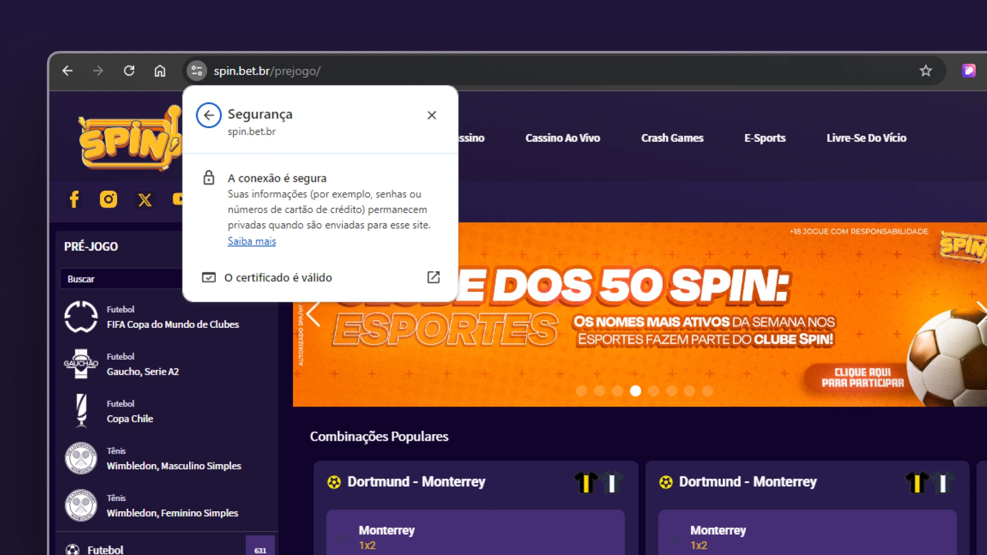 imagem site seguro spin