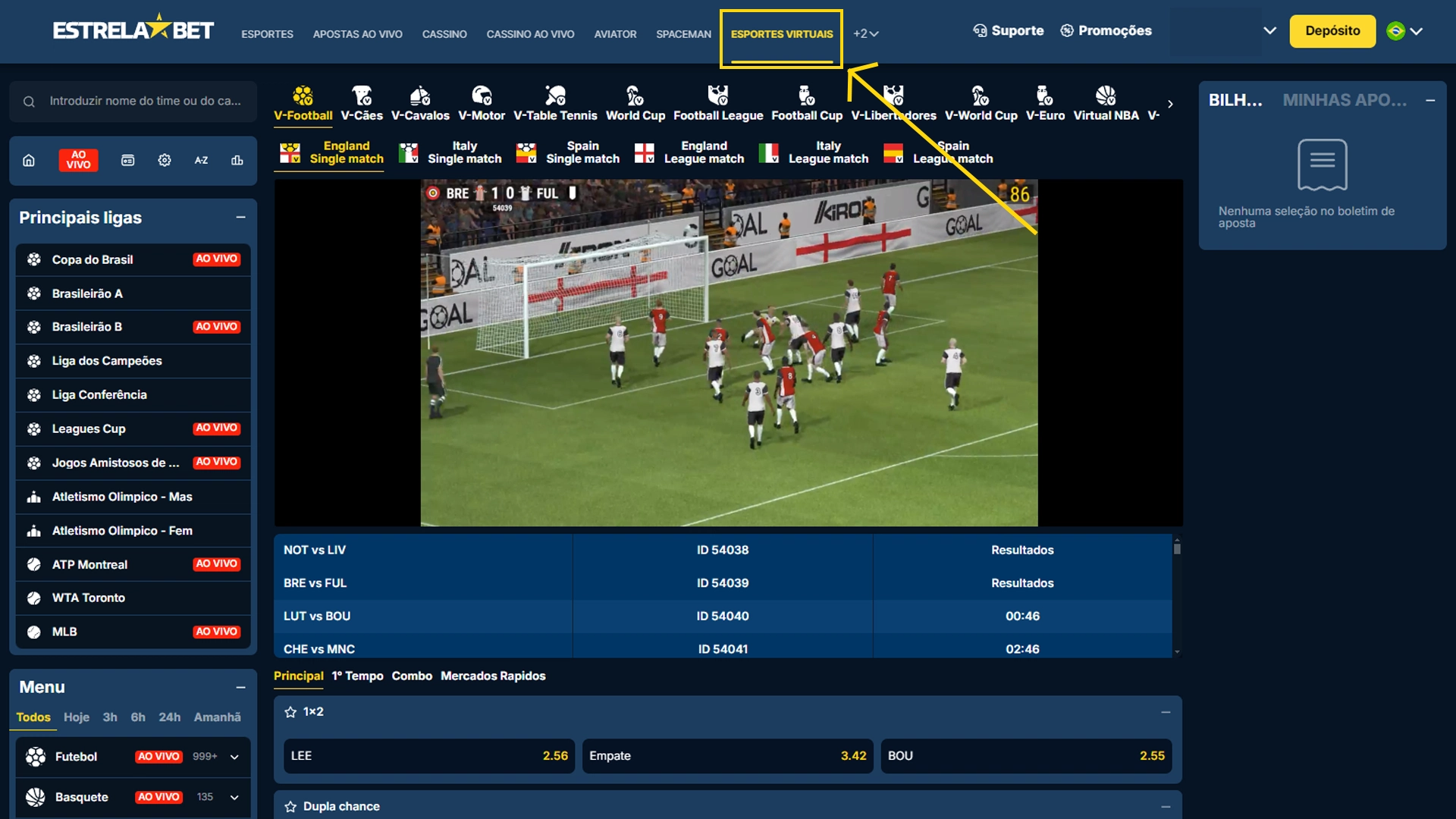 Print mostra página de aposta virtuais da Estrela Bet