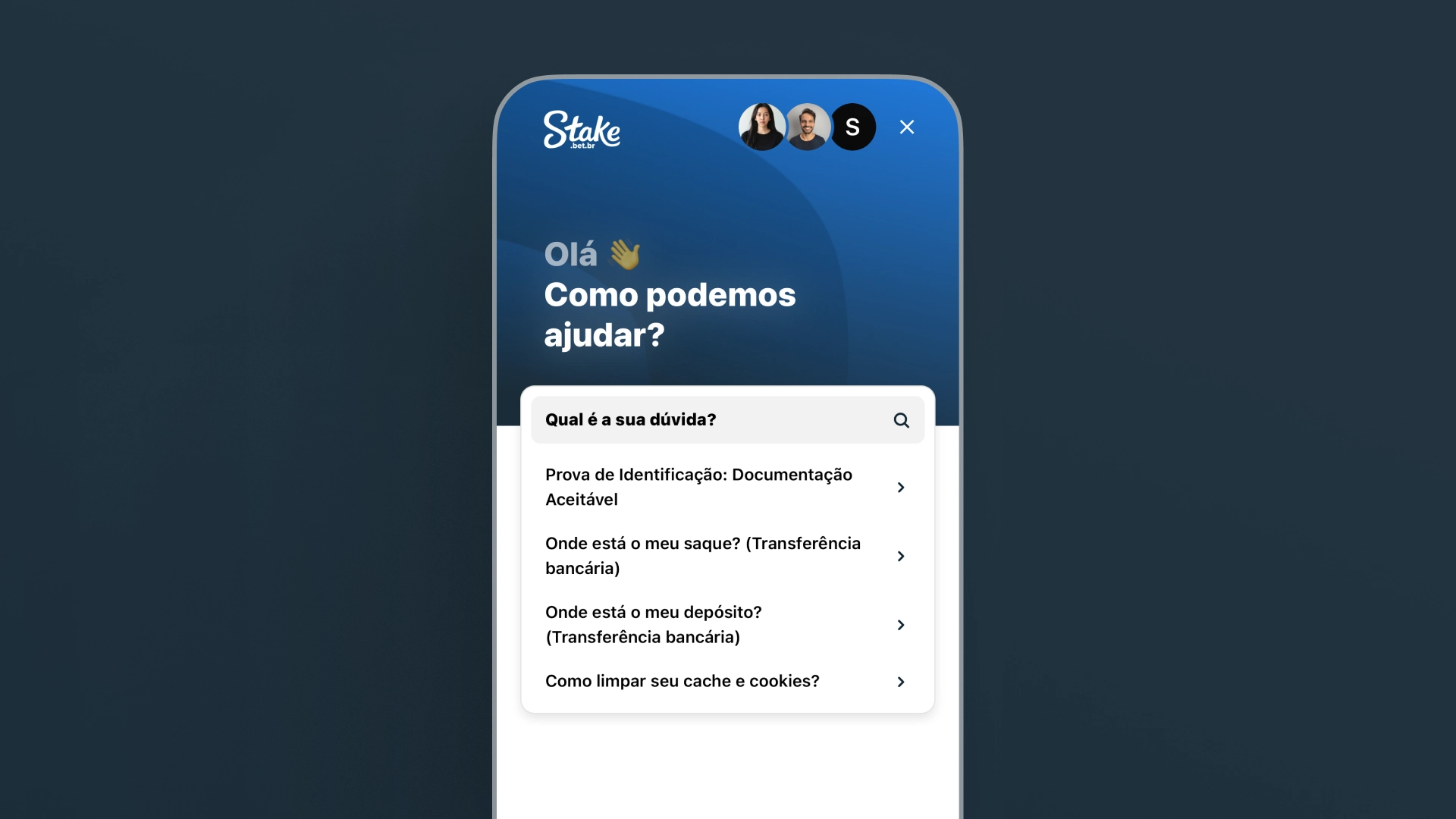 screenshot suporte stake