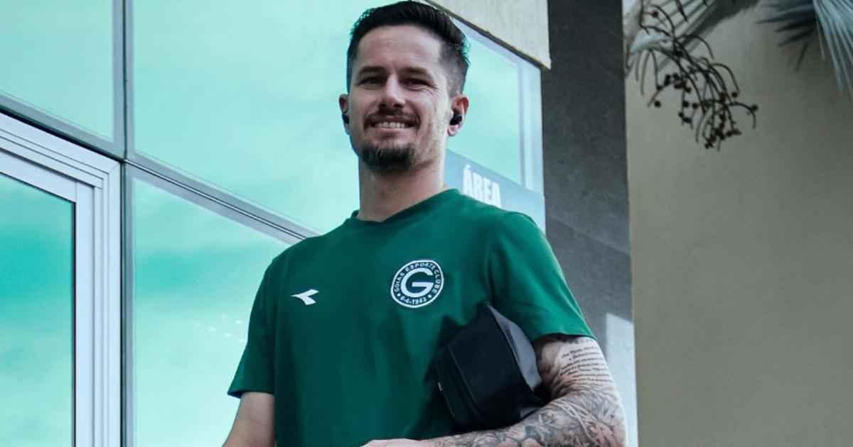 image para ilustrar o artigo