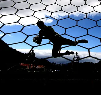 Botafogo trata como prioridade contratação de goleiro na janela doméstica, diz jornalista