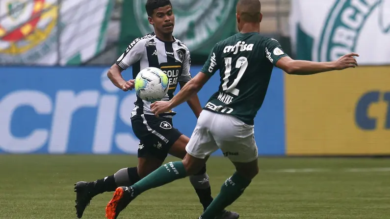 Cesinha - Palmeiras x Botafogo
