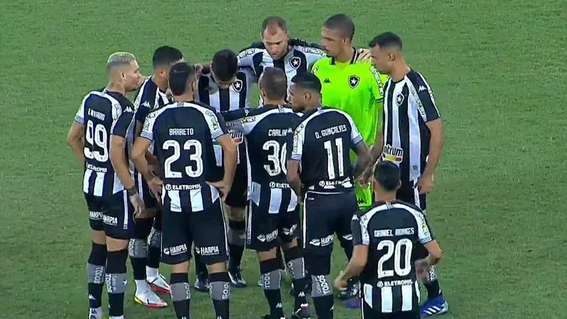 Elenco - Botafogo x Avaí