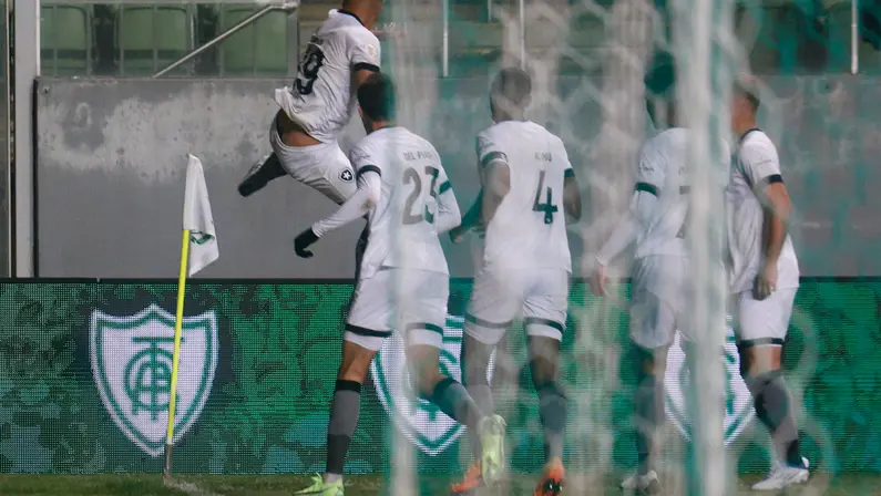 No embalo da torcida, Botafogo tem dificuldade na criação, mas evolui na etapa final, e Erison volta a decidir