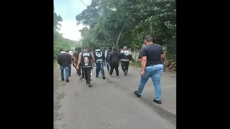 Jornalistas criticam invasão a CT do Botafogo: ‘Esse time não é sem vergonha, é um time sendo construído’