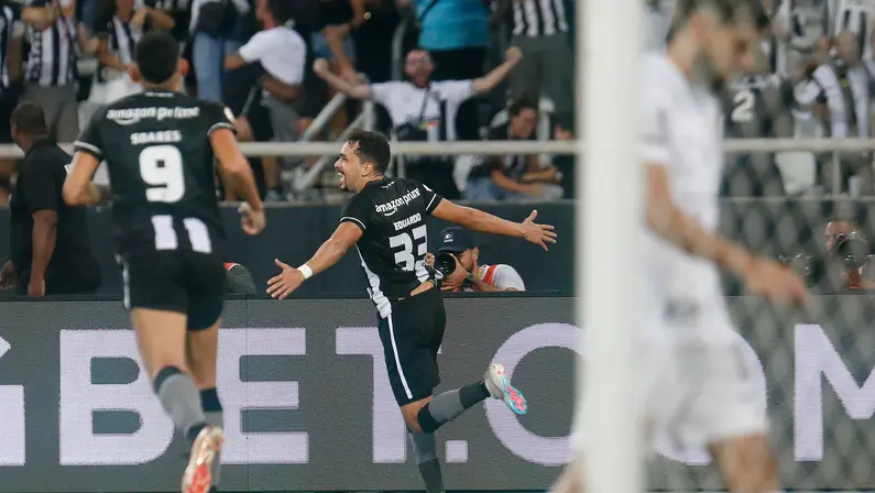 Botafogo e as dúvidas na janela de reforços