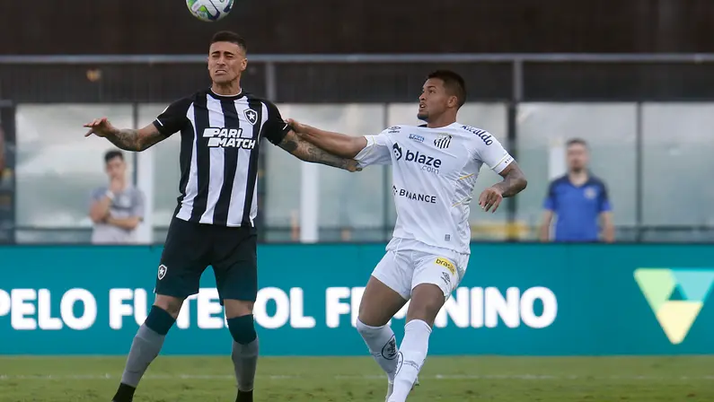 Botafogo mostra espírito de campeão contra o Santos