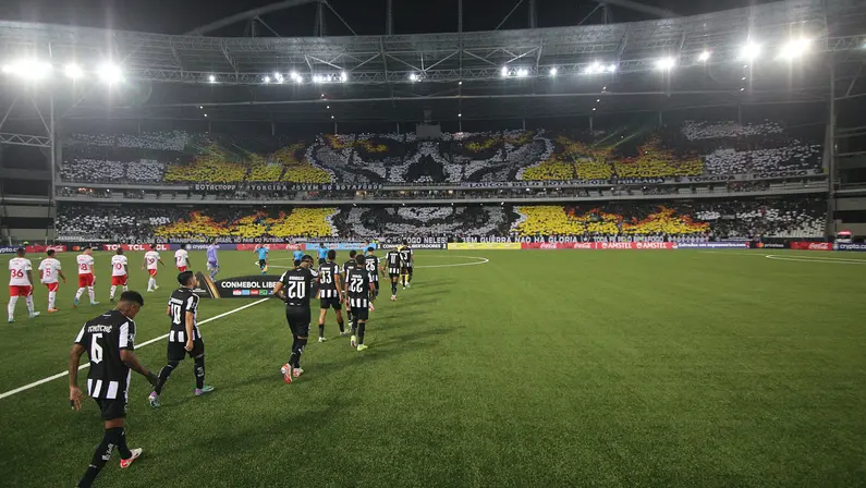 Torcedora do Botafogo é vítima de agressão dentro do Estádio Nilton Santos, e caso é registrado no Jecrim; agressor é afastado dos jogos