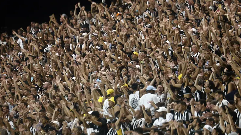 Botafogo resgata mais do que boas campanhas