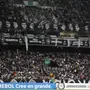 Com expectativa de casa cheia, Botafogo recebe o Grêmio por 100% no Nilton Santos