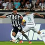 Botafogo encara Grêmio fora de casa tendo adversário como inspiração