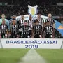 Reta final do Brasileiro e expectativa por S.A: o dezembro do Botafogo