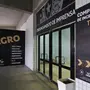 Tour é adiado: Botafogo suspende temporariamente visitas no Estádio Nilton Santos e General Severiano