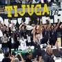 Champions Américas, NBB, Jamaal: VP de esportes olímpicos fala sobre futuro do basquete do Botafogo