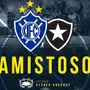 Pré-temporada 2020: rival do Botafogo confirma data e horário de amistoso no Espírito Santo