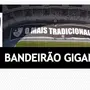 Botafogo tem autorização da CBF para estrear bandeirão na pista de atletismo do Nilton Santos. Veja imagens!