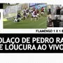 Flamengo x Botafogo: TV vai à loucura ao vivo com golaço de Pedro Raul no Maracanã. Assista!