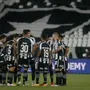 Botafogo alcança o pior aproveitamento do Campeonato Brasileiro: 30,6%