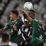 Botafogo bate recorde de empates no Campeonato Brasileiro de pontos corridos até a 17ª rodada
