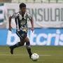 Pitacos: Cesinha merece sequência no Botafogo; &#8216;decisão&#8217; contra Sport de Jair Ventura