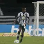 Botafogo: Marcelo Benevenuto, Matheus Babi e Diego Loureiro entram em seleção da rodada