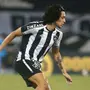 Rafael Navarro desfalca Botafogo contra o ABC; Matheus Nascimento deve ser titular