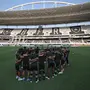 Botafogo tem 23 jogadores com contrato até o fim do ano e aguarda orçamento para definições