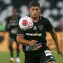 Erison justifica aposta feita pelo Botafogo no início da temporada