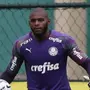 Botafogo acerta com goleiro Leandro Matheus, ex-Palmeiras, Bahia e Cruzeiro, para o time B