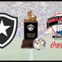Botafogo vai disputar tradicional torneio internacional sub-19 em Dallas, em abril