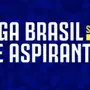 Com presença do Botafogo, clubes se unem para criar Liga Brasil de Aspirantes, competição sub-23
