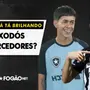 VÍDEO: Segovinha vai bem e já vira novo xodó no Botafogo; Diego Hernández é o próximo?