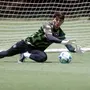 Botafogo empresta goleiro João Fernando para o Boavista