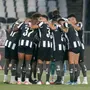 Mesmo sem jogar, Botafogo vê chances de título aumentarem para 47% após derrotas de concorrentes