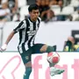 Botafogo empresta Segovinha para o RWD Molembeek por cinco meses