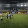 Torcedora do Botafogo é vítima de agressão dentro do Estádio Nilton Santos, e caso é registrado no Jecrim; agressor é afastado dos jogos