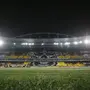 Movimento promete trocar mosaico por ‘festa com cara de Libertadores’ para Botafogo x Junior Barranquilla no Nilton Santos
