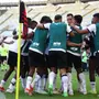 Botafogo defende tabu contra o Flamengo no Brasileirão; rival não vence como mandante há seis anos