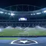 Botafogo e a fake news do gramado sintético