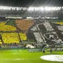 TV explica significado do mosaico do Botafogo nas arquibancadas do Estádio Kleber Andrade: &#8216;Torcida nacional&#8217;