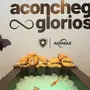 Botafogo inaugura sala de acolhimento para torcedores com Transtorno do Espectro Autista no Nilton Santos