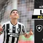 LIVE | Pós-jogo e repercussão da vitória do Botafogo sobre o São Paulo. Fogão campeão brasileiro em 2024!
