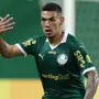 Botafogo formaliza proposta de empréstimo por Naves, mas Palmeiras vai recusar