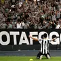 Botafogo saiu no lucro até aqui, mas o que ele quer para o restante da temporada?